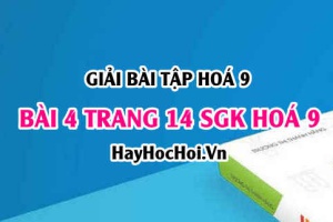 Giải bài 4 trang 14 SGK Hoá 9: Tính chất hoá học của Axit
